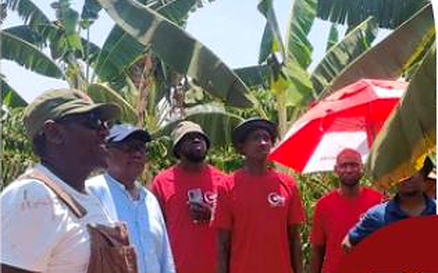 A safari group gathered under the banana canopy at Matugga Farm.