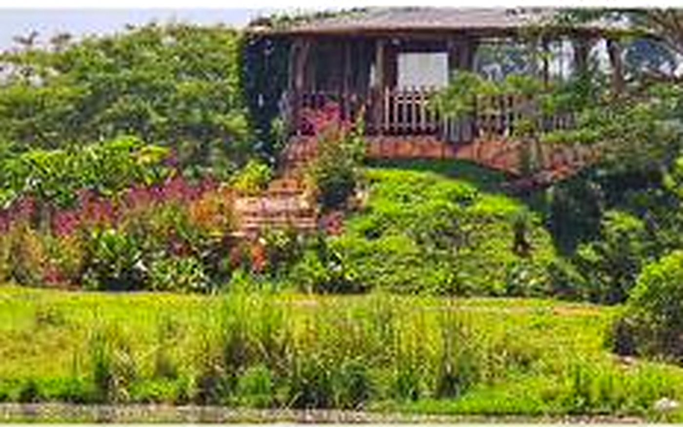 The hillside gardens and farmhouse at Zirobwe.