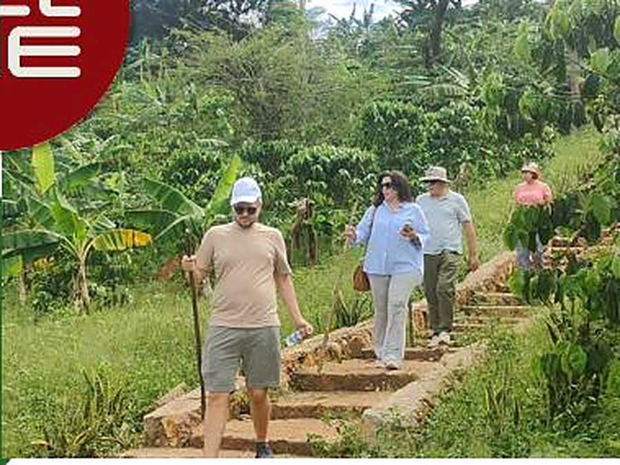 Guests walking the stone steps up into the coffee farm.